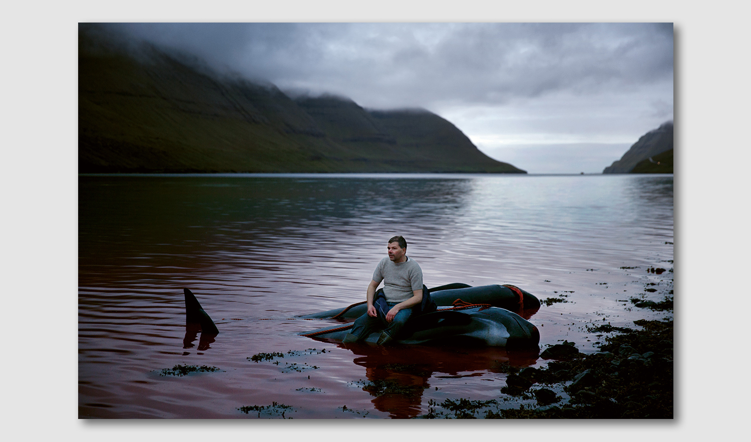 Andrea Gjestvang – Atlantic Cowboy