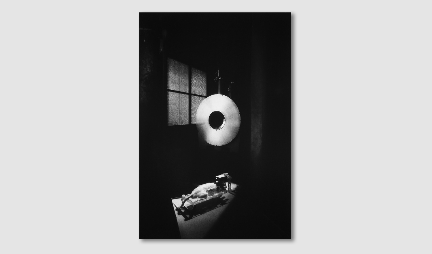 Hans Danuser - Darkrooms of Photography