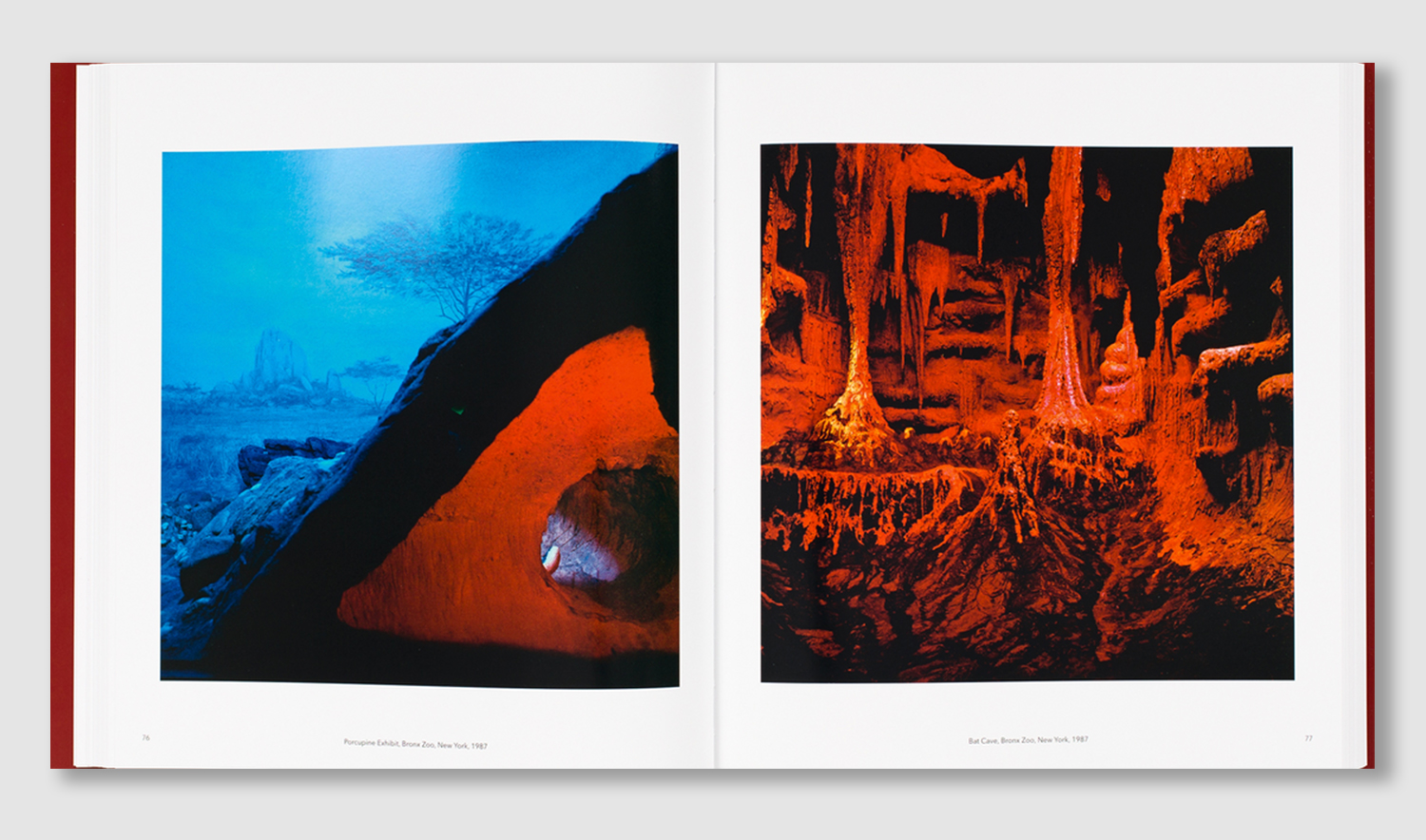 Lucinda Devlin – Frames of Reference